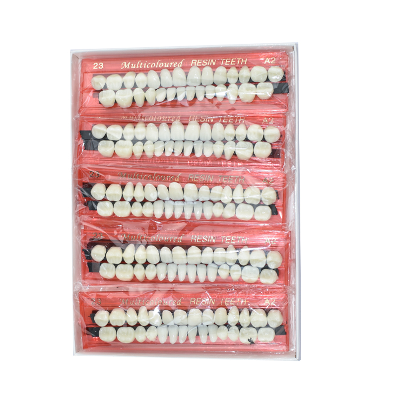 28 Teeth Dental Resin Denture  - Teeth Whitening Flash avis et prix