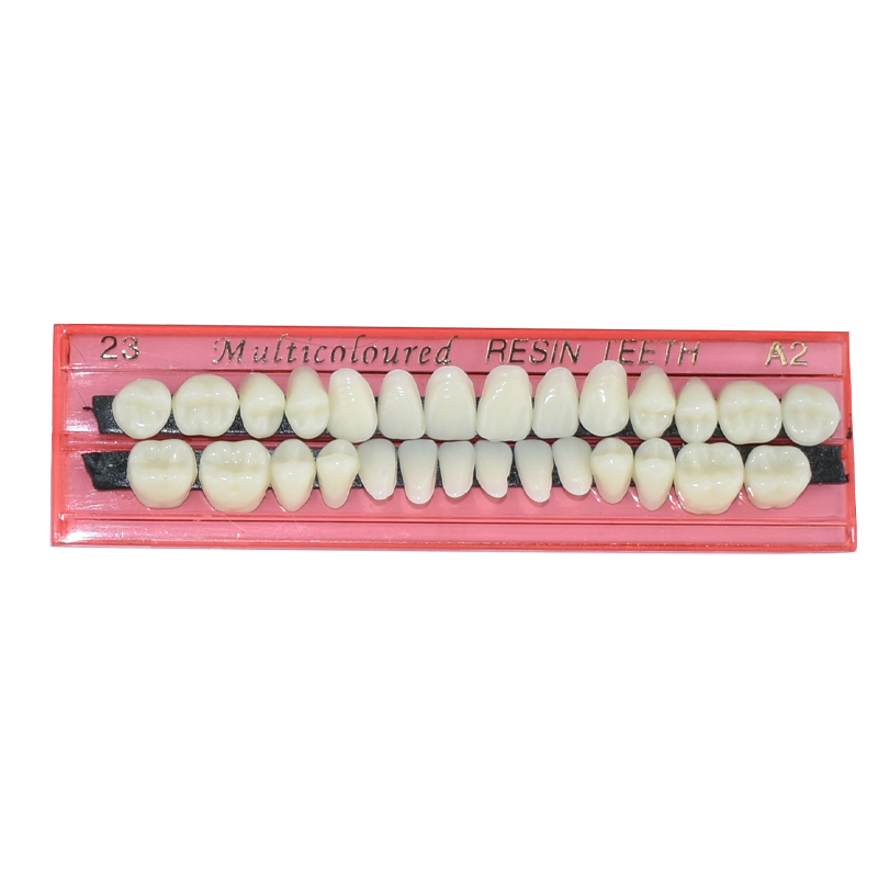 28 Teeth Dental Resin Denture  - Teeth Whitening Flash avis et prix