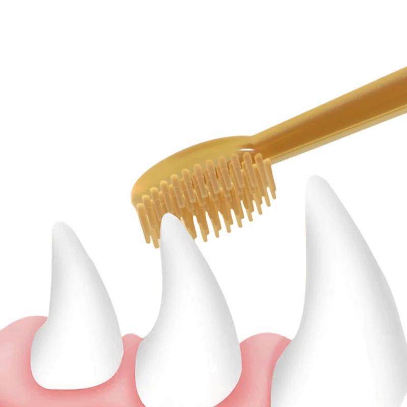 Pet Teeth Whitening Kit - Dual - Teeth Whitening Paste avis et prix