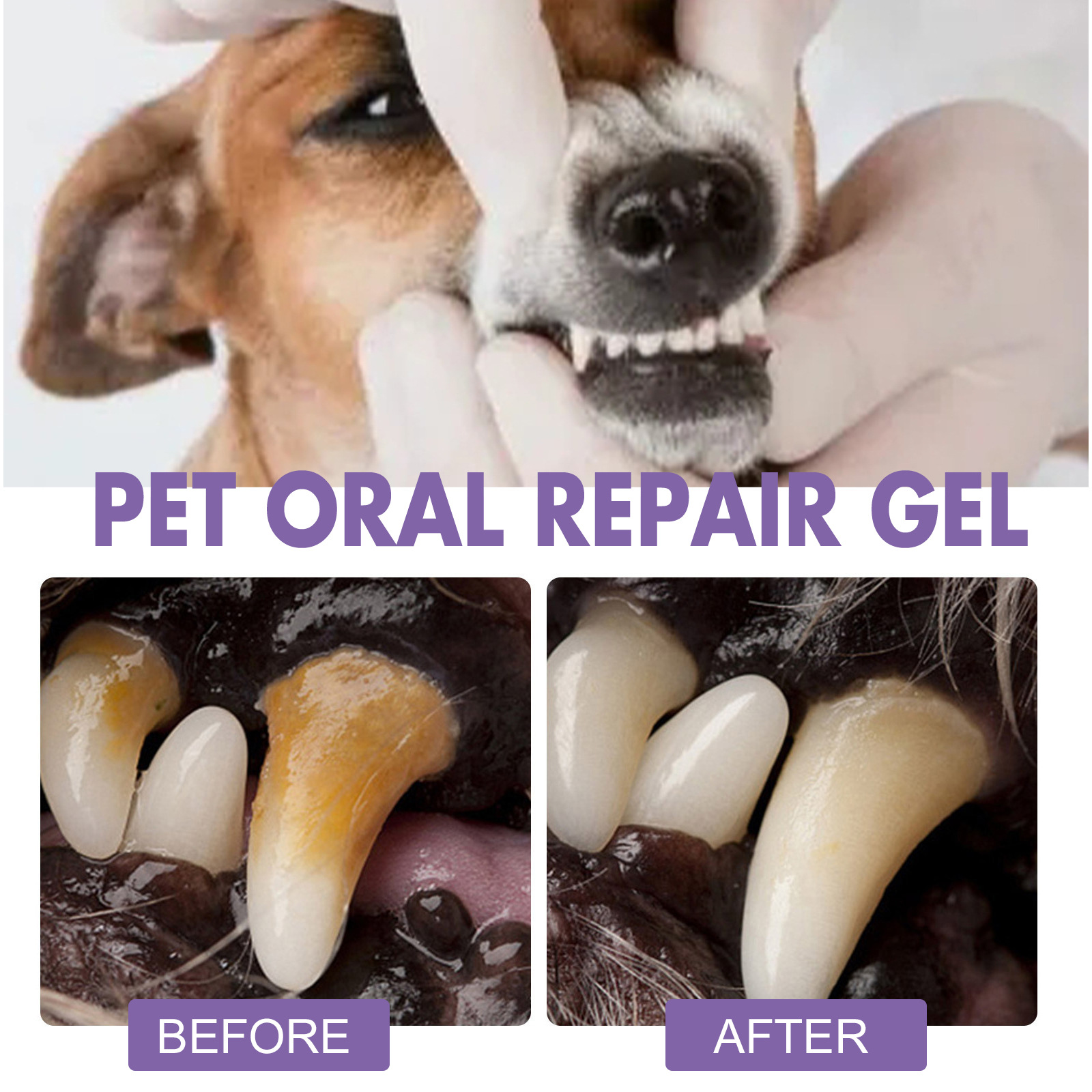 Pet Oral Repair Gel Puppy Tart - Teeth Whitening Levels avis et prix