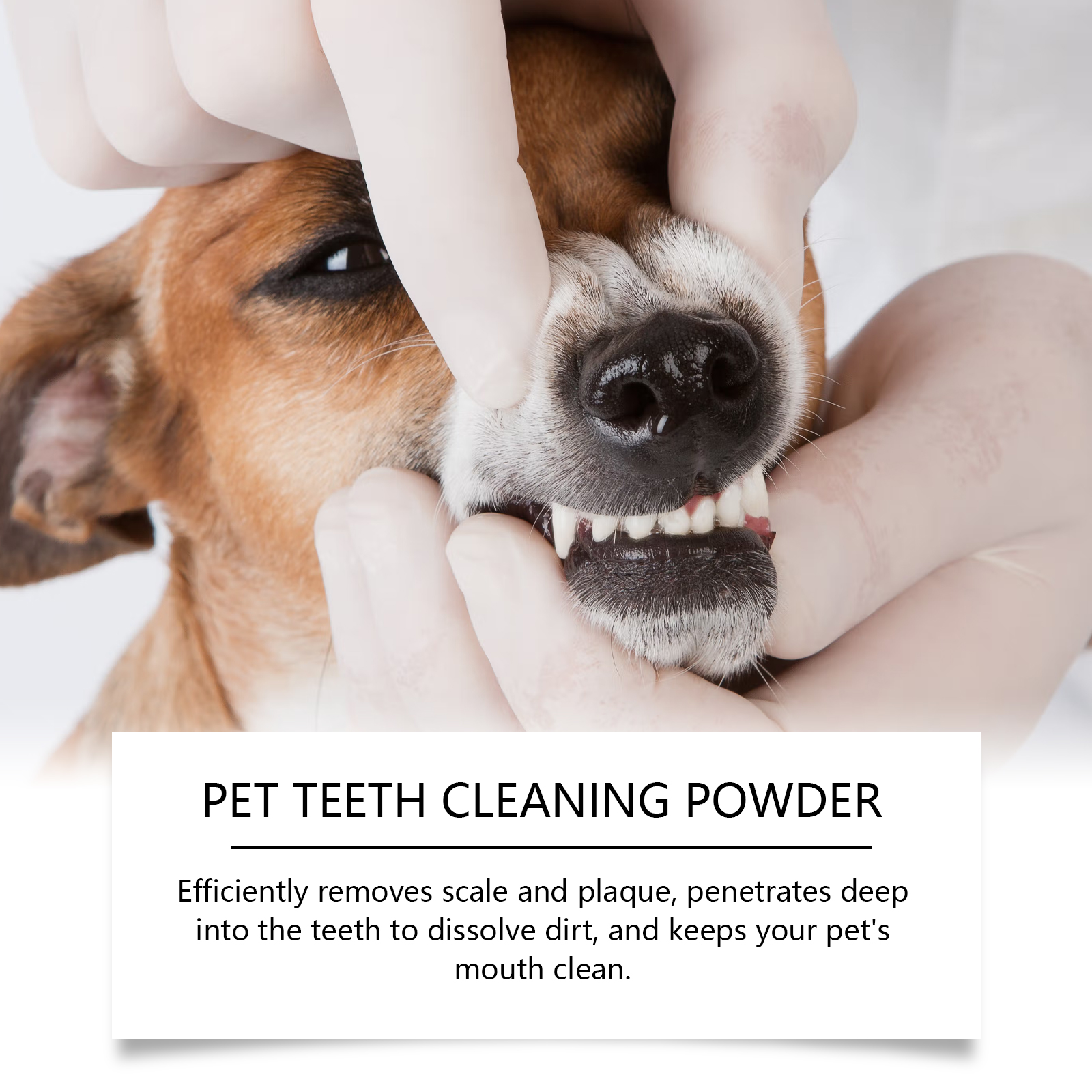 Pet Teeth Cleaning Powder Redu - Teeth Whitening Price avis et prix